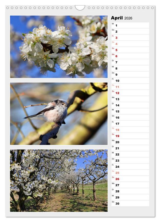 Produktbild: Zauberhafte Farben der Natur (Wandkalender 2026 DIN A3 hoch), CALVENDO Monatskalender