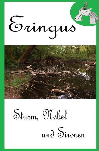 Produktbild: Eringus - Sturm, Nebel und Sirenen