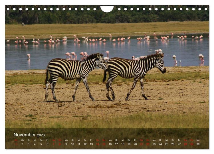 Produktbild: Ostafrika - Tansania und Kenia hautnah (Wandkalender 2026 DIN A4 quer), CALVENDO Monatskalender