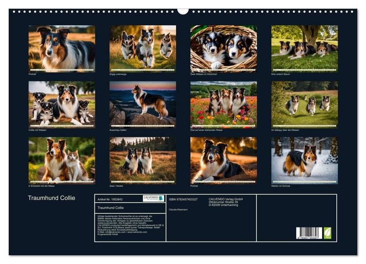Produktbild: Traumhund Collie (Wandkalender 2026 DIN A2 quer), CALVENDO Monatskalender