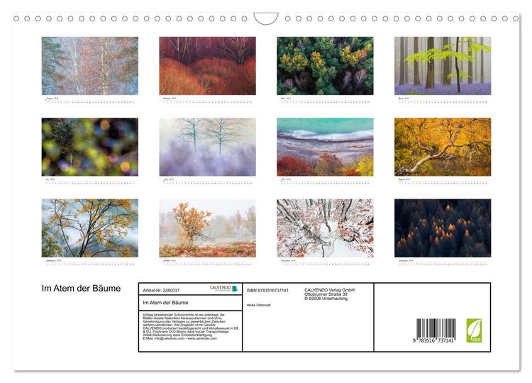 Produktbild: Im Atem der B&auml;ume (Wandkalender 2026 DIN A3 quer), CALVENDO Monatskalender