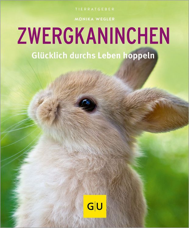 Produktbild: Zwergkaninchen