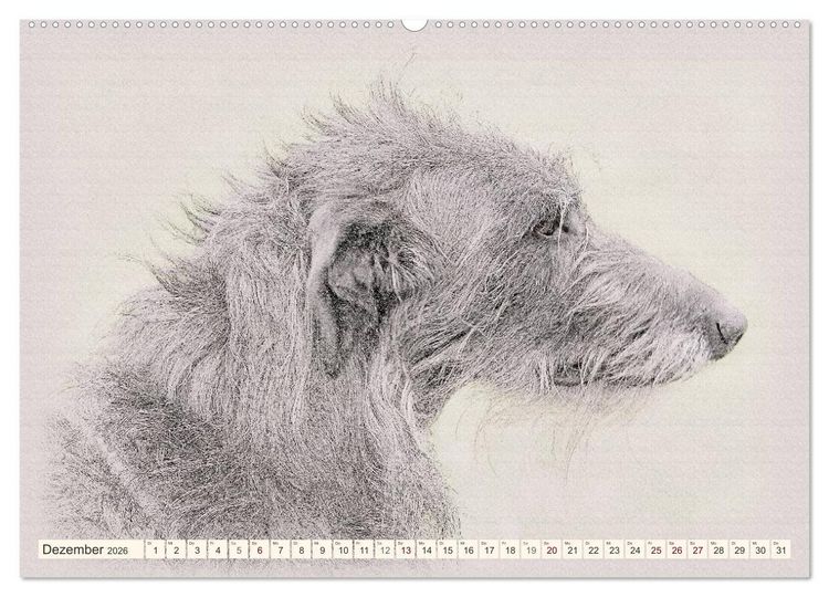 Produktbild: Windhunde 2026 (hochwertiger Premium Wandkalender 2026 DIN A2 quer), Kunstdruck in Hochglanz