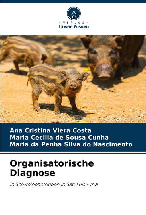 Produktbild: Organisatorische Diagnose