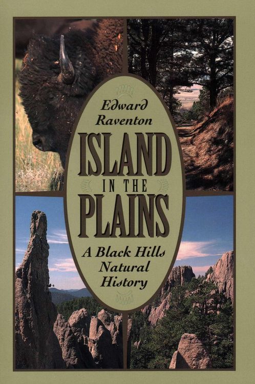 Produktbild: Island in the Plains
