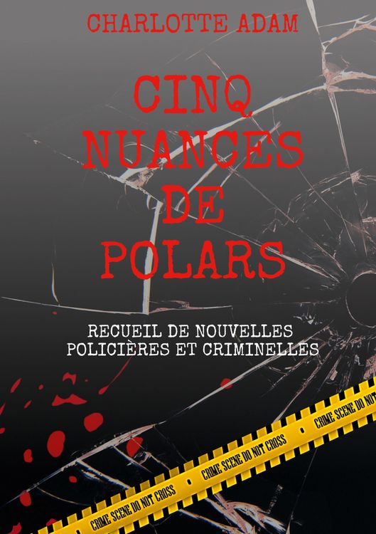 Produktbild: Cinq nuances de polars