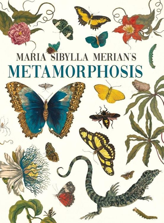 Produktbild: Maria Sibylla Merian's Metamorphosis