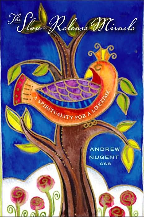 Produktbild: The Slow-Release Miracle