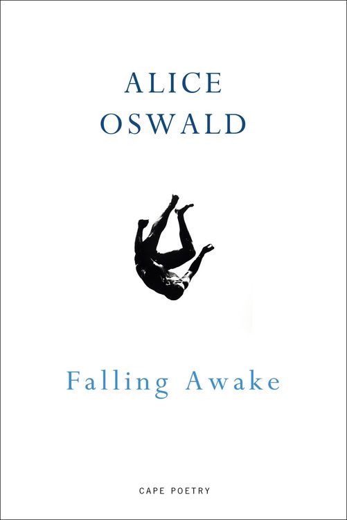 Produktbild: Falling Awake