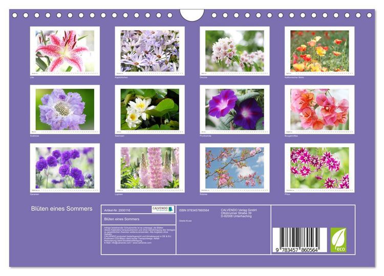 Produktbild: Bl&uuml;ten eines Sommers (Wandkalender 2026 DIN A4 quer), CALVENDO Monatskalender