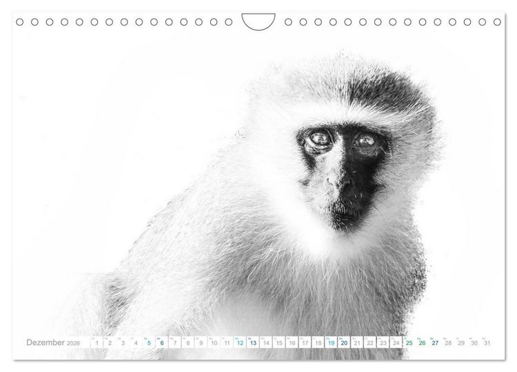 Produktbild: AFRIKA - Schwarz-weiss Fotografien im modernen "High Key" Look (Wandkalender 2026 DIN A4 quer), CALVENDO Monatskalender