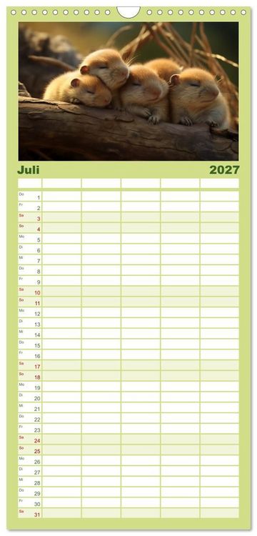 Produktbild: Familienplaner 2027 - Nach Art der Lemminge mit 5 Spalten (Wandkalender, 21 x 45 cm) CALVENDO