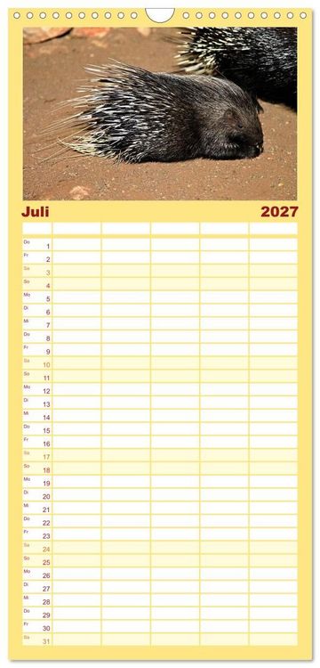 Produktbild: Familienplaner 2027 - Wildes Kinderzimmer - Tierkinder in Afrika mit 5 Spalten (Wandkalender, 21 x 45 cm) CALVENDO