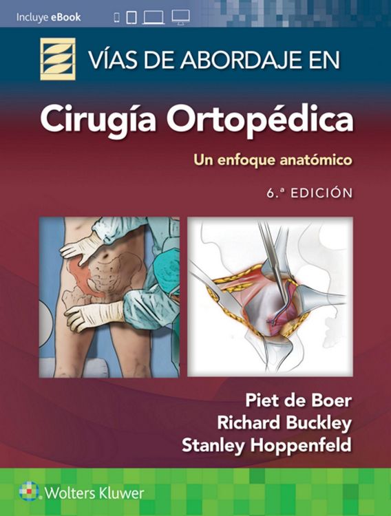 Produktbild: V&iacute;as de abordaje de cirug&iacute;a ortop&eacute;dica. Un enfoque anat&oacute;mico