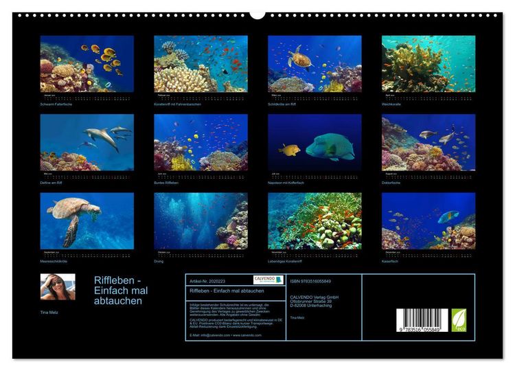 Produktbild: Riffleben - Einfach mal abtauchen (hochwertiger Premium Wandkalender 2026 DIN A2 quer), Kunstdruck in Hochglanz