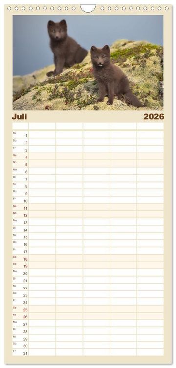 Produktbild: Familienplaner 2026 - Polarfuchs-Welpen mit 5 Spalten (Wandkalender, 21 x 45 cm) CALVENDO
