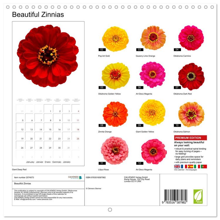 Produktbild: Beautiful Zinnias (Wall Calendar 2026 12 &times; 12 Inch) CALVENDO 12 Month Wall Calendar