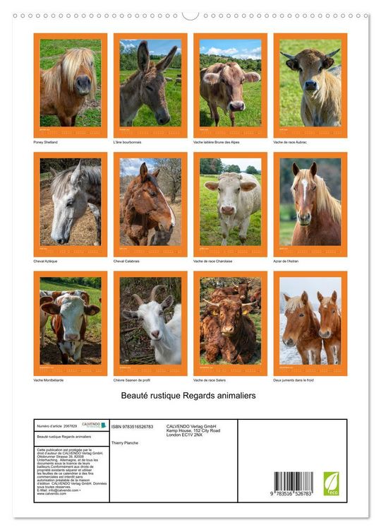 Produktbild: Beaut&eacute; rustique Regards animaliers (Calendrier mural 2026 DIN A2 horizontal) calendrier de bureau