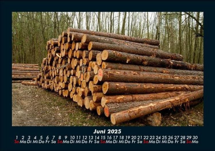 Produktbild: B&auml;ume 2025 Fotokalender DIN A5
