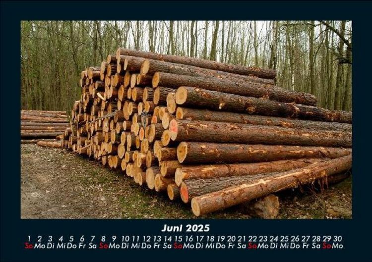 Produktbild: B&auml;ume 2025 Fotokalender DIN A5