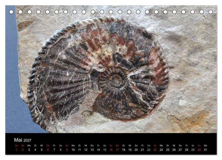 Produktbild: Fossilien - Zeugen der Urzeit (Tischkalender 2027 DIN A5 quer), CALVENDO Monatskalender