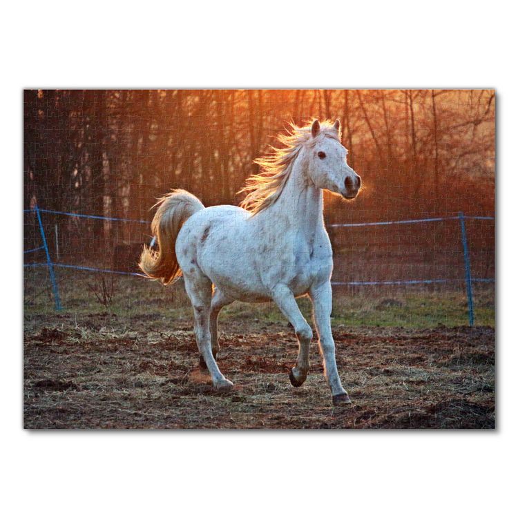 Produktbild: Lais Puzzle Thoroughbred Horse 1000 Teile