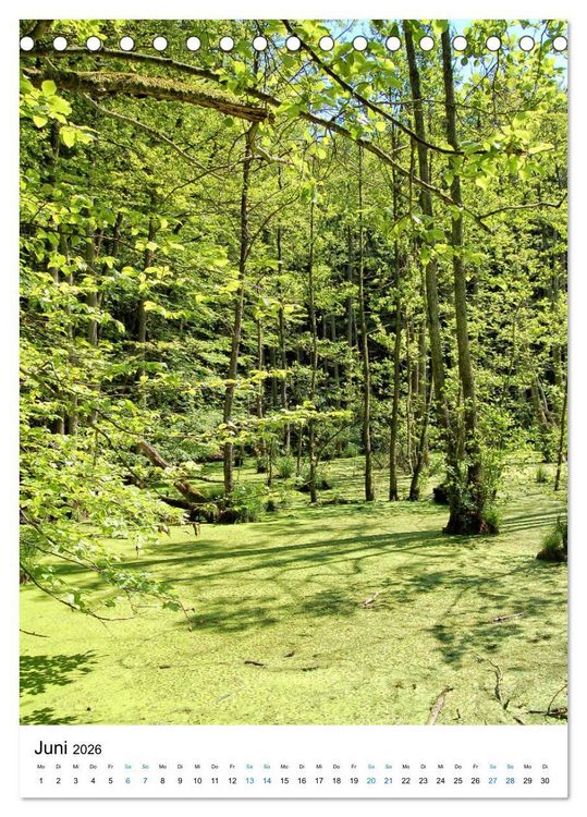 Produktbild: Insel R&uuml;gen - Kreide, Landschaft, Leuchtt&uuml;rme (Tischkalender 2026 DIN A5 hoch), CALVENDO Monatskalender