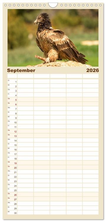 Produktbild: Familienplaner 2026 - Die Geier sind los mit 5 Spalten (Wandkalender, 21 x 45 cm) CALVENDO