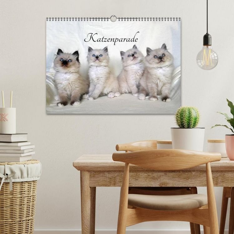 Produktbild: Katzenparade (Wandkalender 2026 DIN A3 quer), CALVENDO Monatskalender