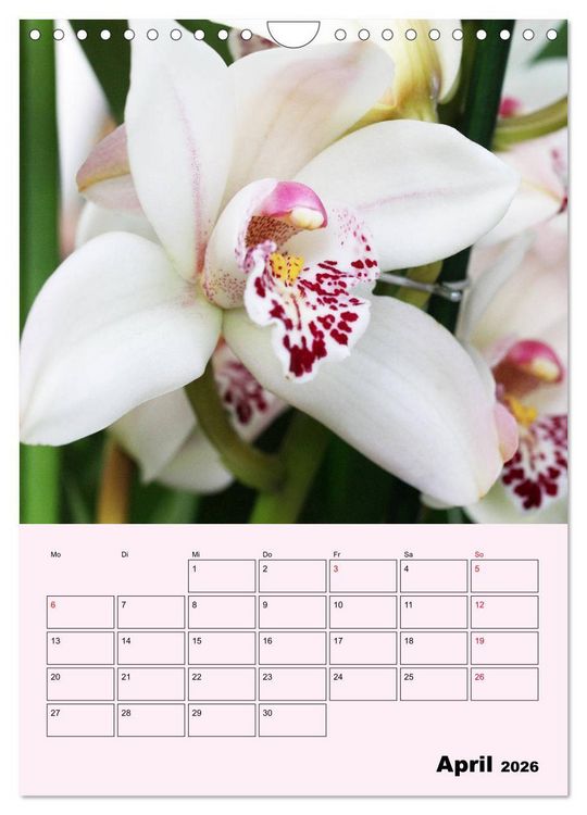 Produktbild: Orchideenliebe (Wandkalender 2026 DIN A4 hoch), CALVENDO Monatskalender