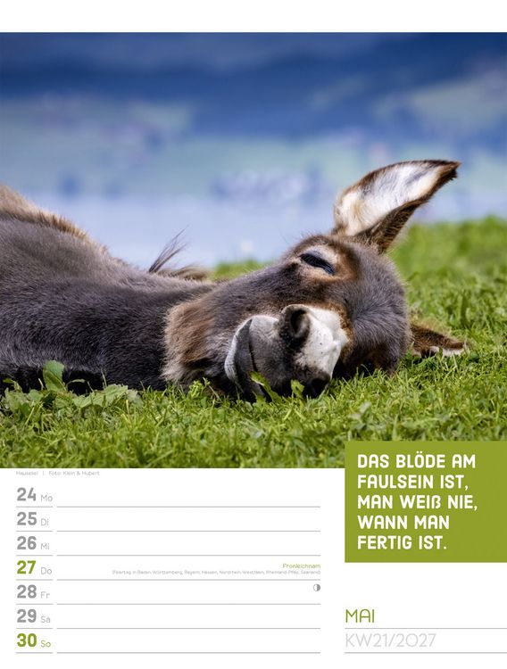 Produktbild: Tierisch Spr&uuml;chekalender Wochenplaner 2027
