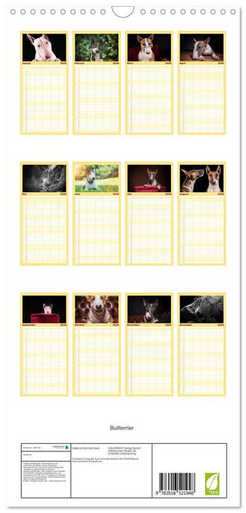Produktbild: Familienplaner 2026 - Bullterrier mit 5 Spalten (Wandkalender, 21 x 45 cm) CALVENDO