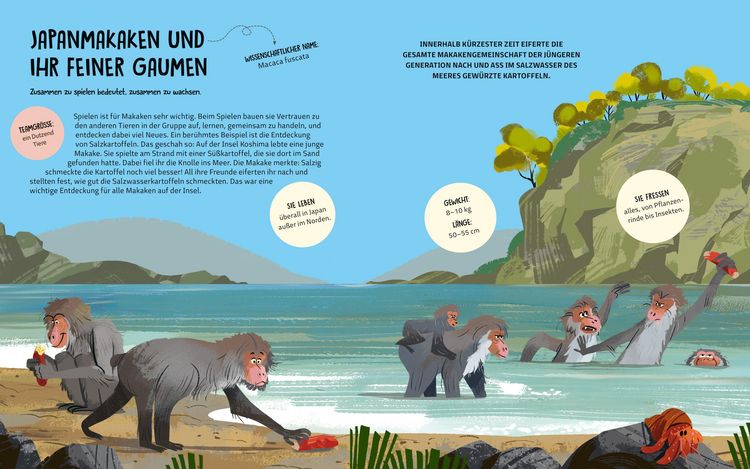 Produktbild: Teamwork im Tierreich
