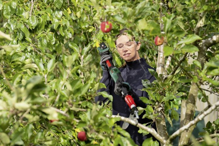 Produktbild: Bosch Home and Garden 06008C5001 AdvancedPrune 18V-45 Akku-Gartenschere 18V Li-Ion