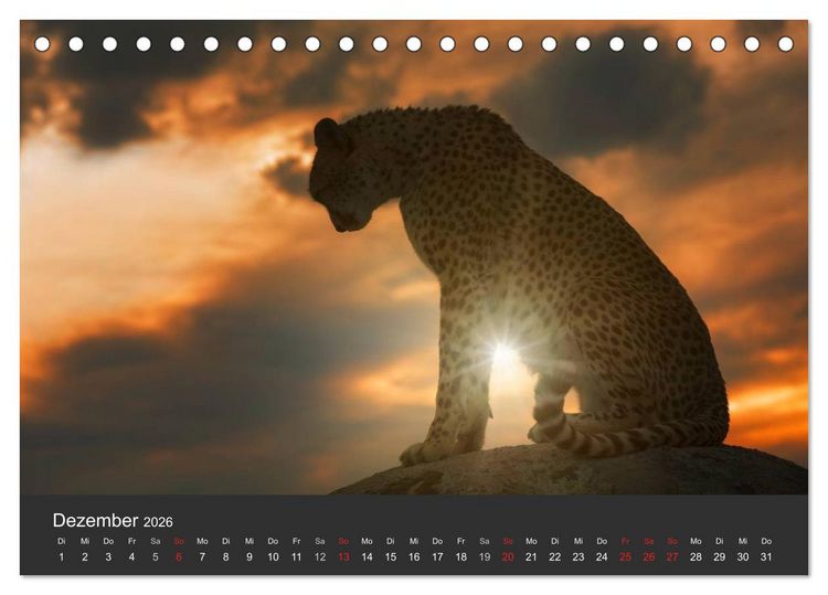 Produktbild: Geparden. Die eleganten Katzen. (Tischkalender 2026 DIN A5 quer), CALVENDO Monatskalender
