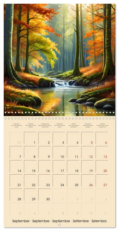 Produktbild: The forest through the seasons (Wall Calendar 2026 12 &times; 12 Inch) CALVENDO 12 Month Wall Calendar
