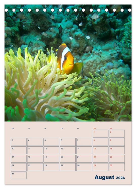 Produktbild: Mahe - Inselparadies der Seychellen (Tischkalender 2026 DIN A5 hoch), CALVENDO Monatskalender