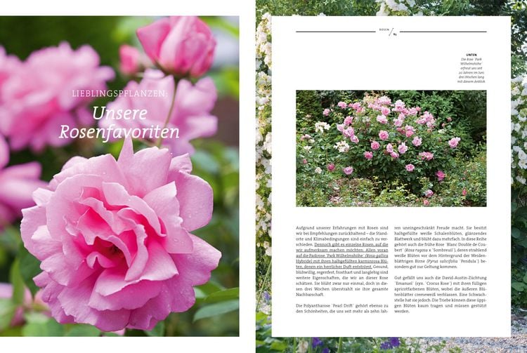 Produktbild: Ein Garten ist niemals fertig