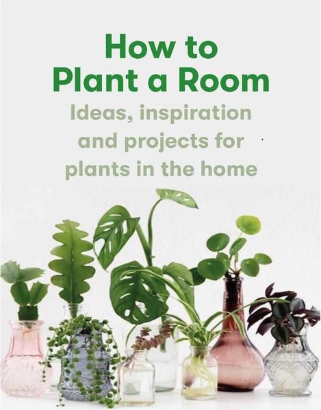 Produktbild: How to Plant a Room