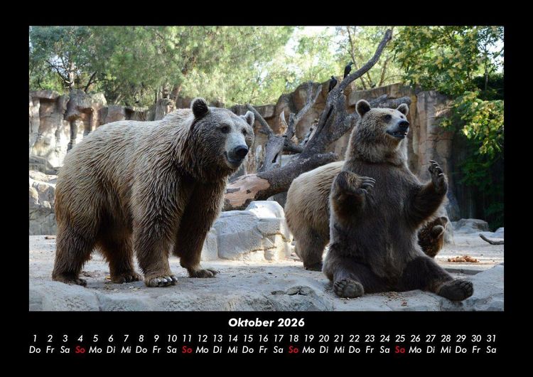 Produktbild: Tierkalender 2026 Fotokalender DIN A3