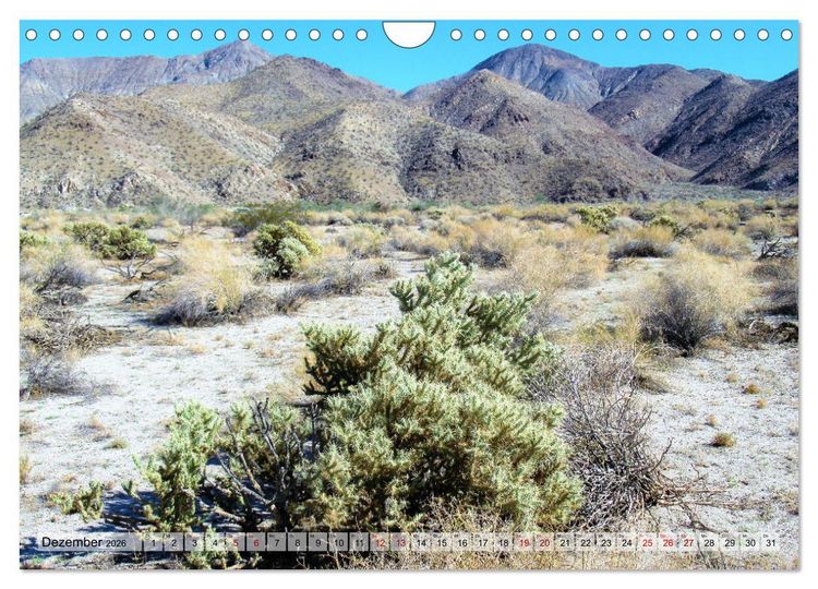 Produktbild: Palm Springs und Umgebung (Wandkalender 2026 DIN A4 quer), CALVENDO Monatskalender