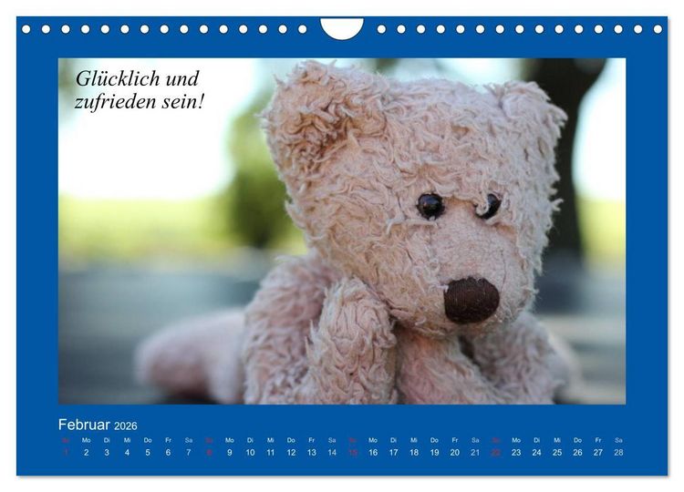 Produktbild: Sommer im Teddy-Land. B&auml;r und Freunde (Wandkalender 2026 DIN A4 quer), CALVENDO Monatskalender