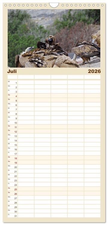 Produktbild: Familienplaner 2026 - Geier - die Gesundheitspolizei! mit 5 Spalten (Wandkalender, 21 x 45 cm) CALVENDO