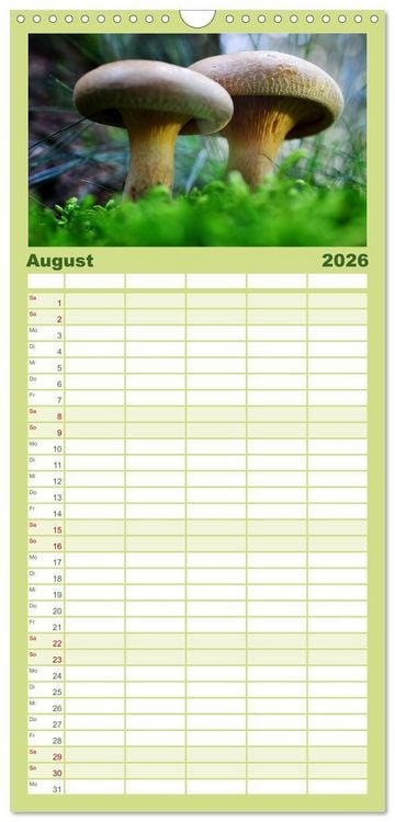 Produktbild: Familienplaner 2026 - Schwammerl Egerlinge Pilze mit 5 Spalten (Wandkalender, 21 x 45 cm) CALVENDO
