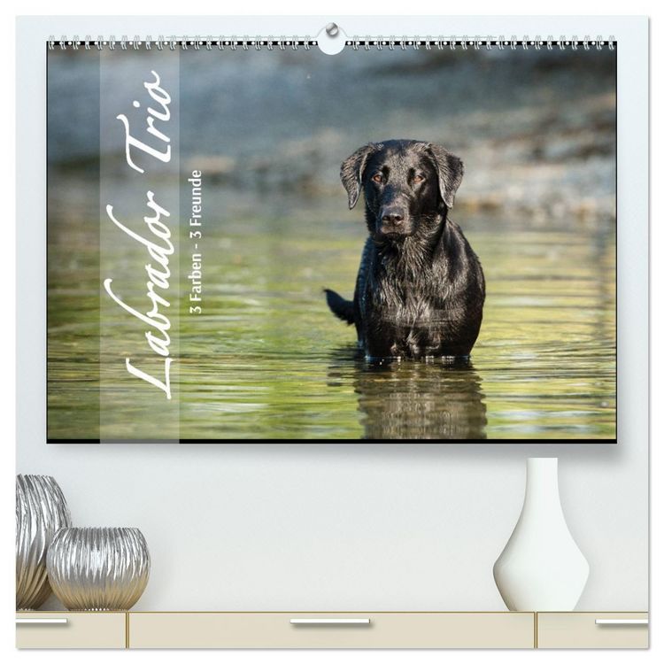 Produktbild: Labrador Trio - 3 Farben, 3 Freunde (hochwertiger Premium Wandkalender 2026 DIN A2 quer), Kunstdruck in Hochglanz