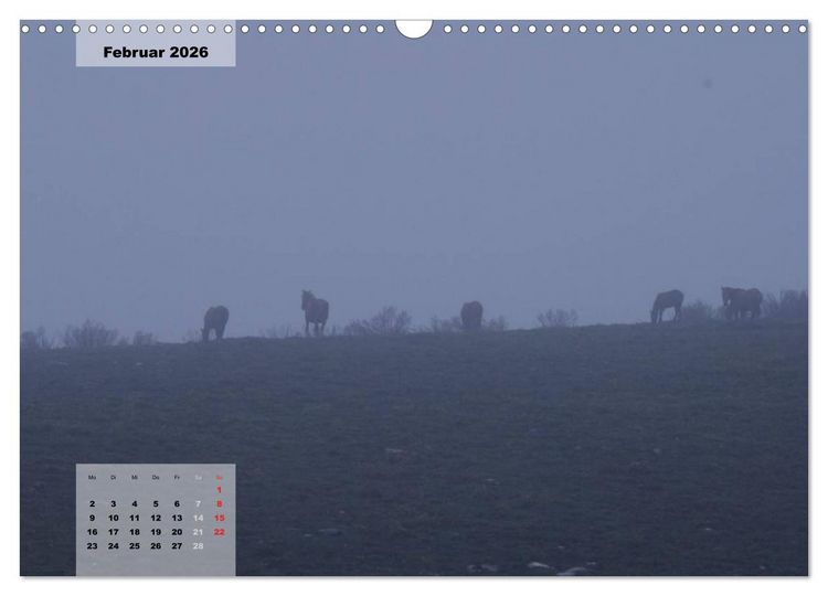 Produktbild: Nordportugal - Heimat der letzten wilden Pferde (Wandkalender 2026 DIN A3 quer), CALVENDO Monatskalender