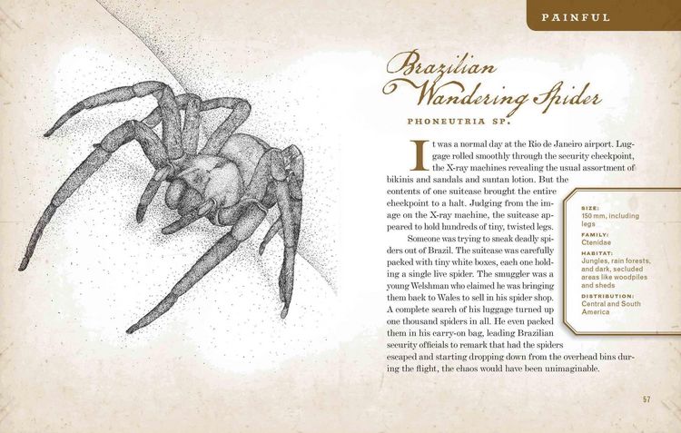 Produktbild: Wicked Bugs