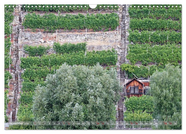 Produktbild: Weinbergh&auml;uschen - Schutz- und Werkzeughaus f&uuml;r den Weing&auml;rtner (Wandkalender 2026 DIN A3 quer), CALVENDO Monatskalender