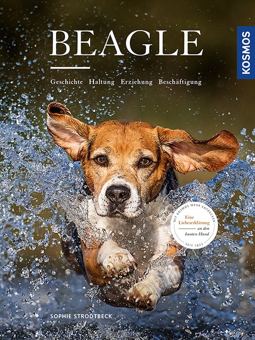 Produktbild: Beagle