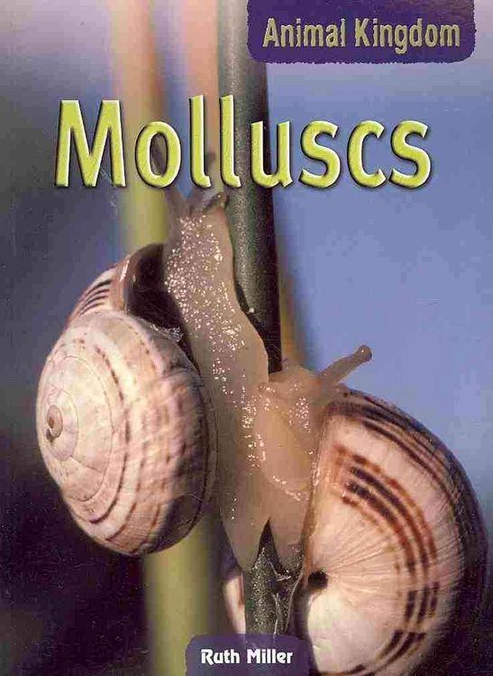 Produktbild: Molluscs